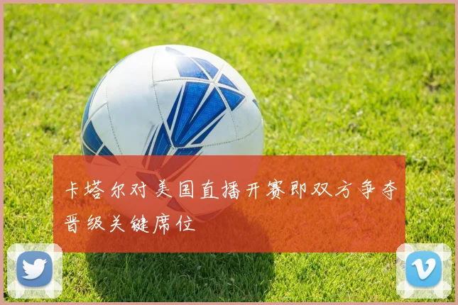 卡塔尔对美国直播开赛即双方争夺晋级关键席位