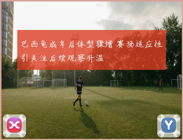 巴西龟成年后体型骤增 赛场适应性引关注后续观察升温