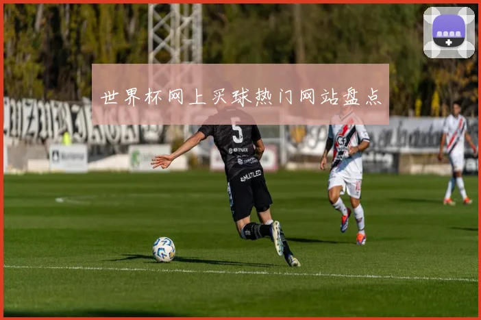 世界杯网上买球热门网站盘点